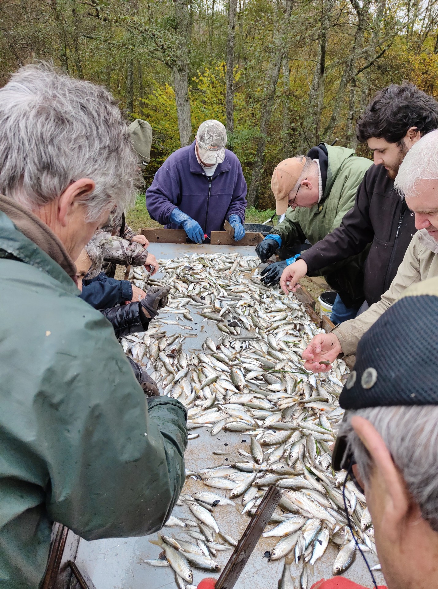 Le tri du poisson : Une affaire de famille pour Franck et Jean Pierre !