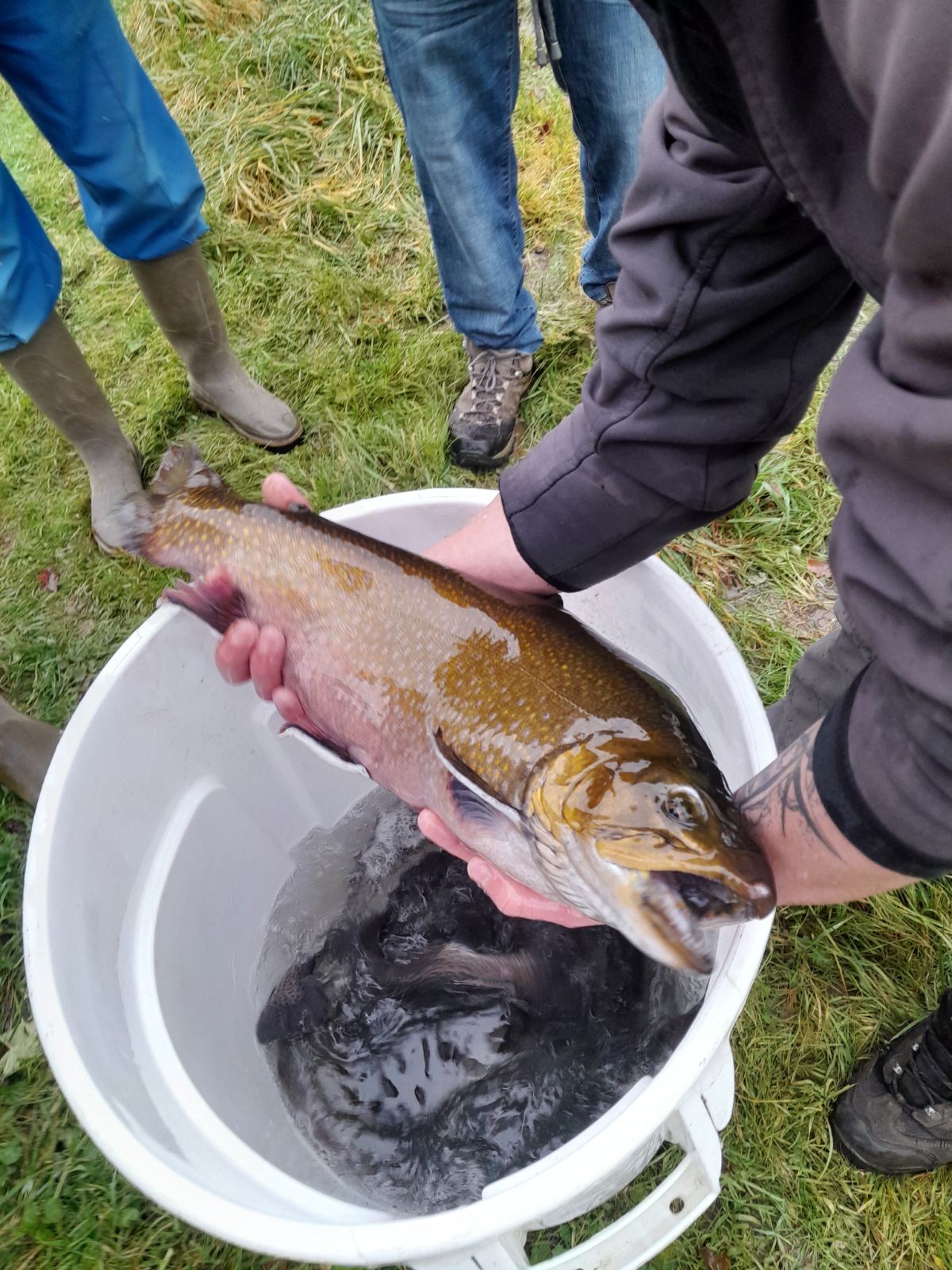 Probablement le plus gros poisson du 25 Janvier 2025