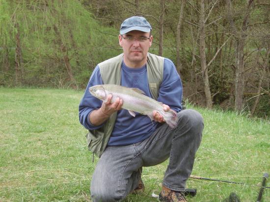 Phil  arc 52cm