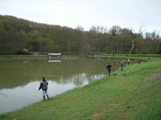 Le groupe en action  acte 2