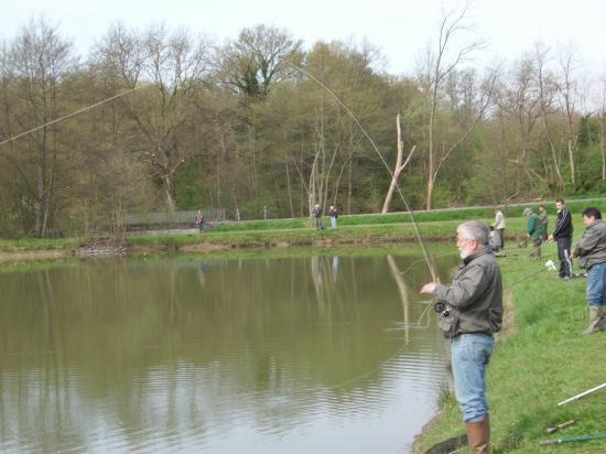 Jean Paul en plein bouleau