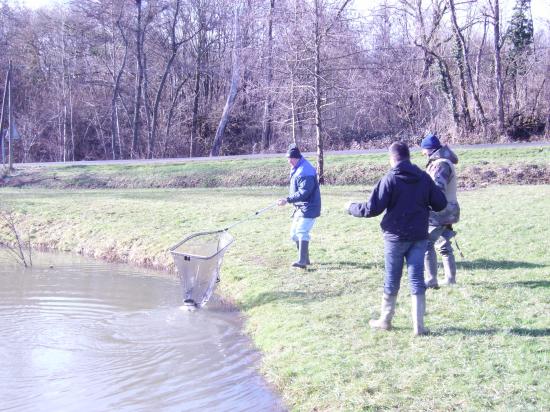 ouverture 2010