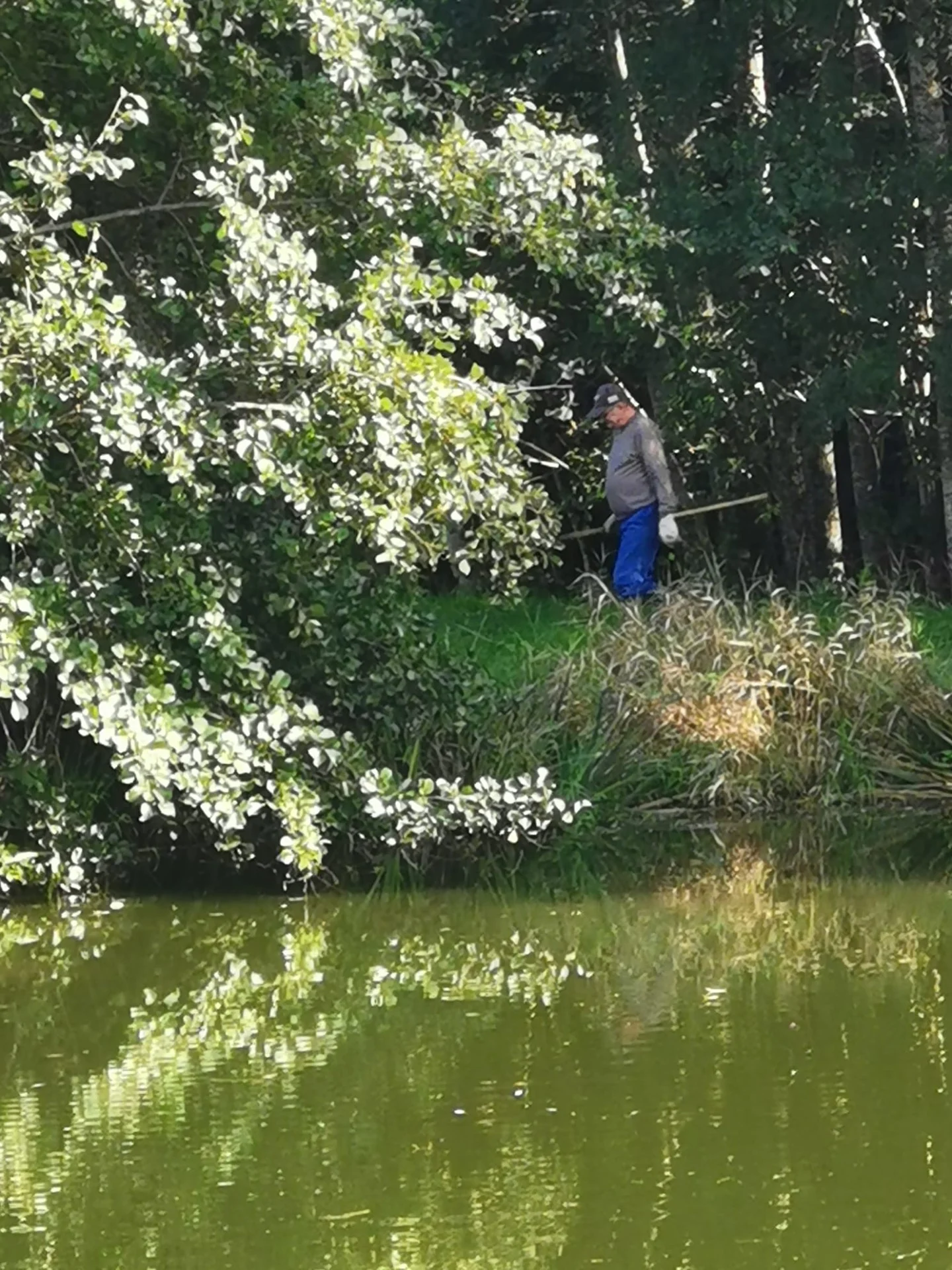 Allez Guy courage !
